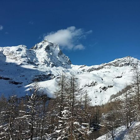 Cervinia Apartments بيريوِل تْشيرفينيا المظهر الخارجي الصورة